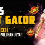 Dari Pemula Jadi Pro: Perjalanan Sukses di Dunia Slot